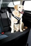 Bilsele Allsafe Harness - Hund (53-00098)