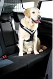 Bilsele Allsafe Harness - Hund (53-00100)