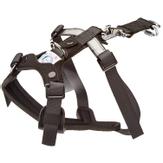 Bilsele Allsafe Harness - Hund (53-00100)