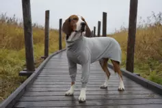  Paikka Recovery Shirt - Grå