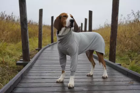  Paikka Recovery Shirt - Grå