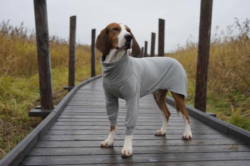 Paikka Recovery Shirt - Grå (120-1048001-1500012894)