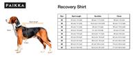 Paikka Recovery Shirt - Grå (120-1048001-1500012894)