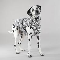  Paikka Kjøle- og Insektsvest - Sebra