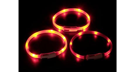 LED Lyshalsbånd til Katt - Orange (14-64965)
