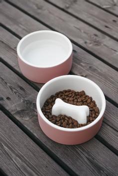  Paikka Slow Feed Bowl - Rosa 