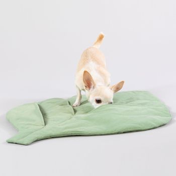 Paikka Playmat, Blad - 75x57cm (120-1055004)