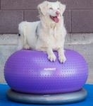 FitPAWS TRAX Donut Balansepute,  Lilla - 55cm (112-279947)