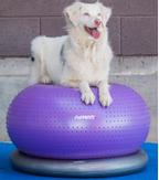 FitPAWS TRAX Donut Balansepute,  Lilla - 55cm (112-279947)