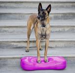 FitPAWS Balanseplattform,  Rosa - 58x25x10cm (112-27952)