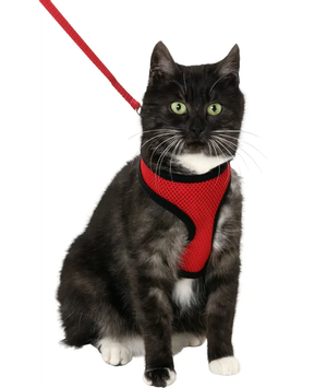 Kattesele - Rød/Svart (14-1031372-1500067410)