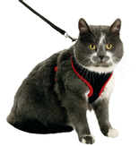 Kattesele - Svart/Rød (14-1031371-1500065652)