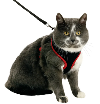 Kattesele - Svart/Rød (14-1031371-1500065652)