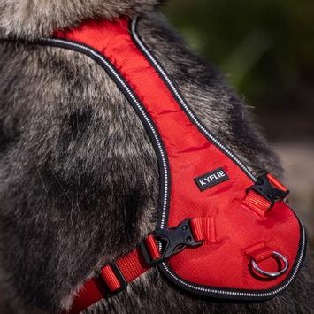 Kyflie Otium Rød - Hundesele (63-HA1108-C)