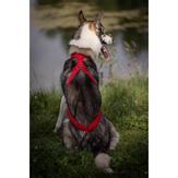 Kyflie Ludus Rød - Trekksele (63-HA2101-C-1500017694)