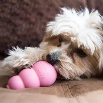 Kong Puppy Valpeleke - Rosa (14-507458-1500038654)