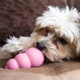 Kong Puppy Valpeleke - Rosa (14-507458-1500038654)