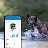 Tractive GPS 4 til Hund - Mørk Blå (TRNJADB)