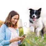 Tractive GPS 4 til Hund - Hvit (TRNJAWH)