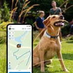 Tractive GPS 4 til Hund - Hvit (TRNJAWH)