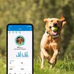 Tractive GPS 4 til Hund - Hvit (TRNJAWH)