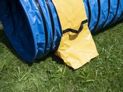 Agility Profi Ekstra Sterk Tunnel PRO-serie (56-AP9-1)