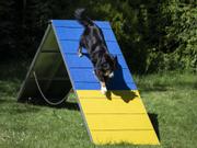 Agility Profi Møne i Aluminium PRO-serie (56-AP13)