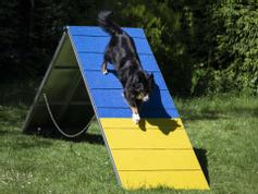  Agility Profi Møne i Aluminium PRO-serie