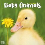 Baby Animals Kalender - 2023 (24-30125)