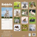 Kaniner Kalender - 2023 (24-30129)