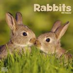 Kaniner Kalender - 2023 (24-30129)
