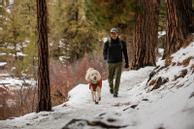 Ruffwear Summit Hundesko - Grå (122-P15401-025225)