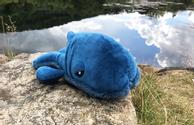 Kosedyr Hval Hundeleke,  Blå - 34cm (51-619132)