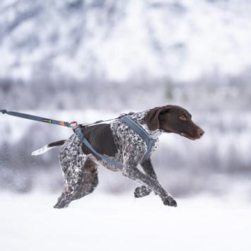 Seleverkstedet Trekreg Hundesele (123-140-001-1500070054)