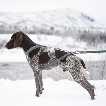 Seleverkstedet Trekreg Hundesele (123-140-005)