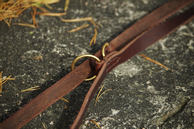 Texas Kobbel Mørkebrun - 220cm (59-T7120220DB)