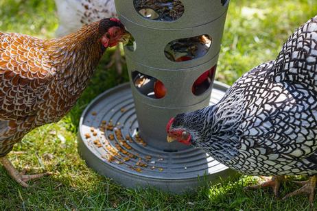 Feed Tower til Høns, Grå - 36cm (51-18251)