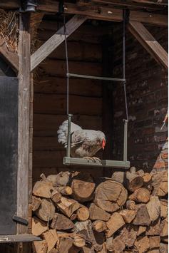 Huske til Høns, Grå - 30cm (51-18255)