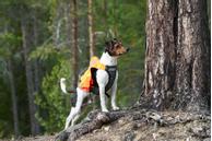 Non-stop Protector Vest Jaktdekken GPS  (44-1752)