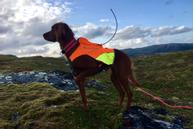 Non-stop Protector Vest Jaktdekken GPS  (44-1752)