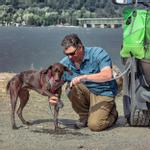 Kurgo Reisedusj til Hund - Grønn (124-K01914)