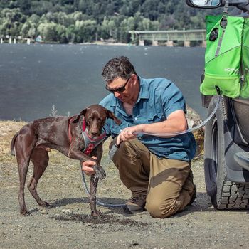 Kurgo Reisedusj til Hund - Grønn (124-K01914)