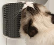 Catit Senses 2.0 Self Groomer Kattebørste (59-H43152)