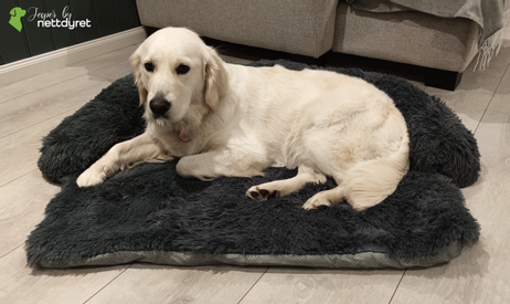 Jesper by Nettdyret Sofaseng - Mørk (1130-SOFA-DG-S)