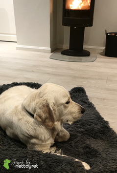 Jesper by Nettdyret Sofaseng - Mørk (1130-SOFA-DG-S)