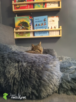 Jesper by Nettdyret Sofaseng - Mørk (1130-SOFA-DG-S)