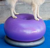 FitPAWS Holder til TRAX Donut Balansepute (112-279925)