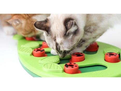 Nina Ottosson Buggin'Out Aktiviseringsleke til Katt (112-992018)