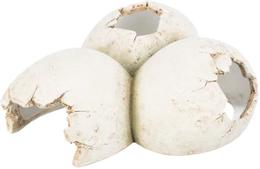 Febo Reptilhule Egg - 15cm