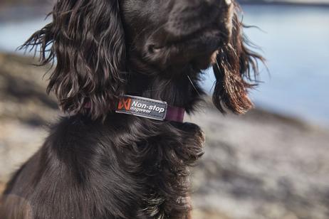 Non-stop Tumble Halsbånd - Lilla (44-3455-150005628)